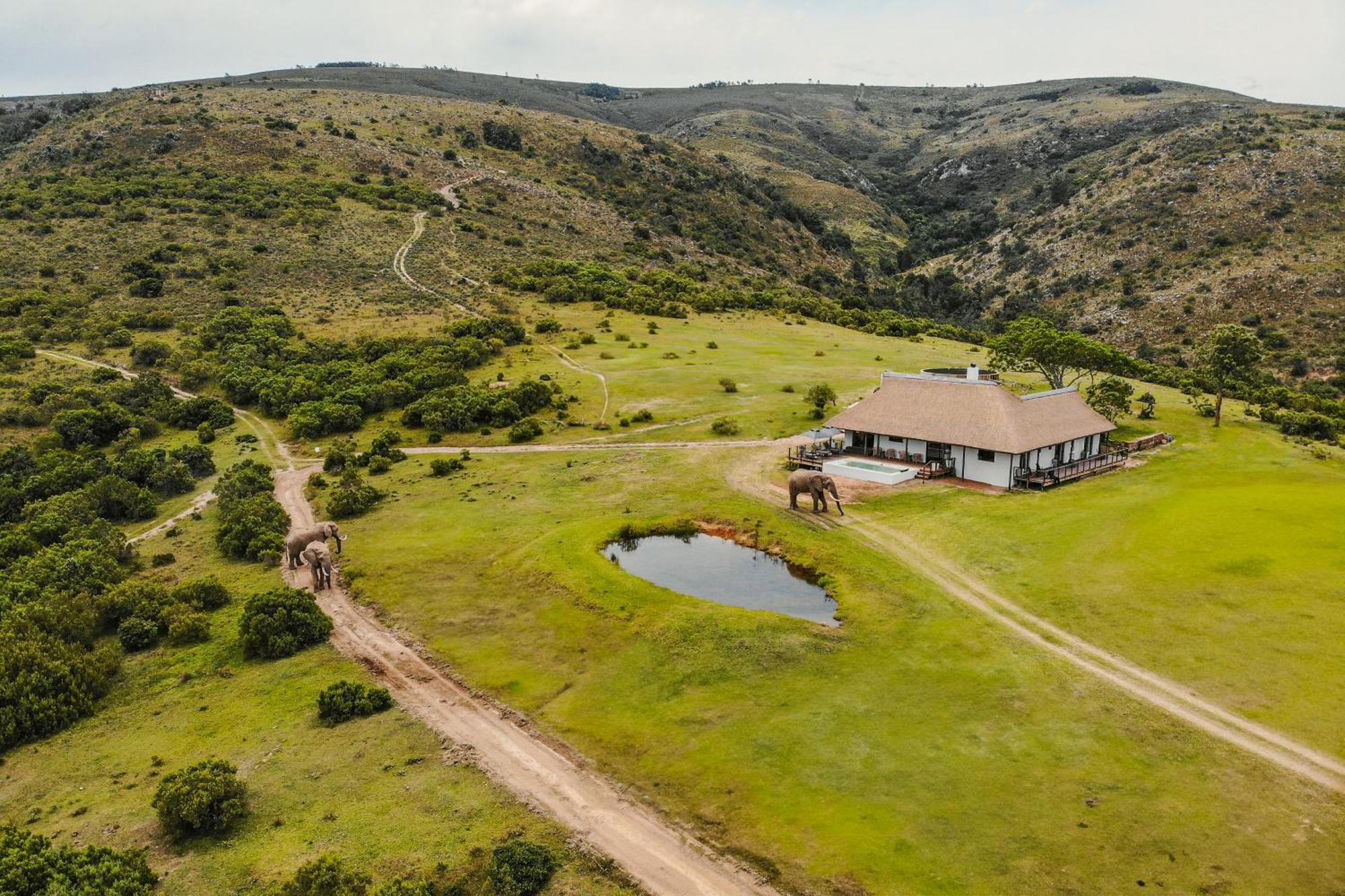 Barefoot Addo Elephant Lodge Buitenkant foto