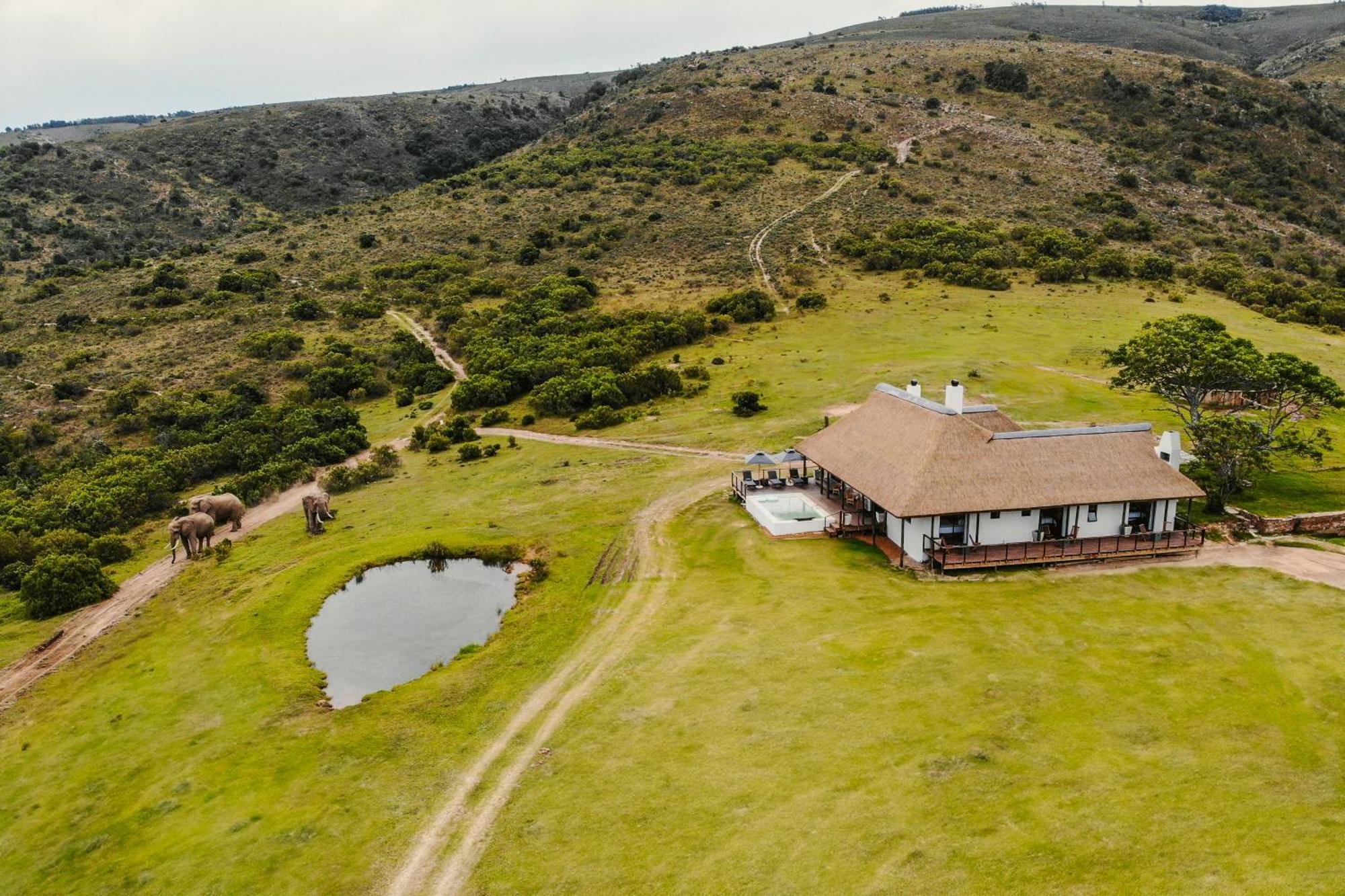 Barefoot Addo Elephant Lodge Buitenkant foto